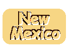 New Mexico